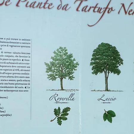 Eco House Roero Cottage アルバ エクステリア 写真