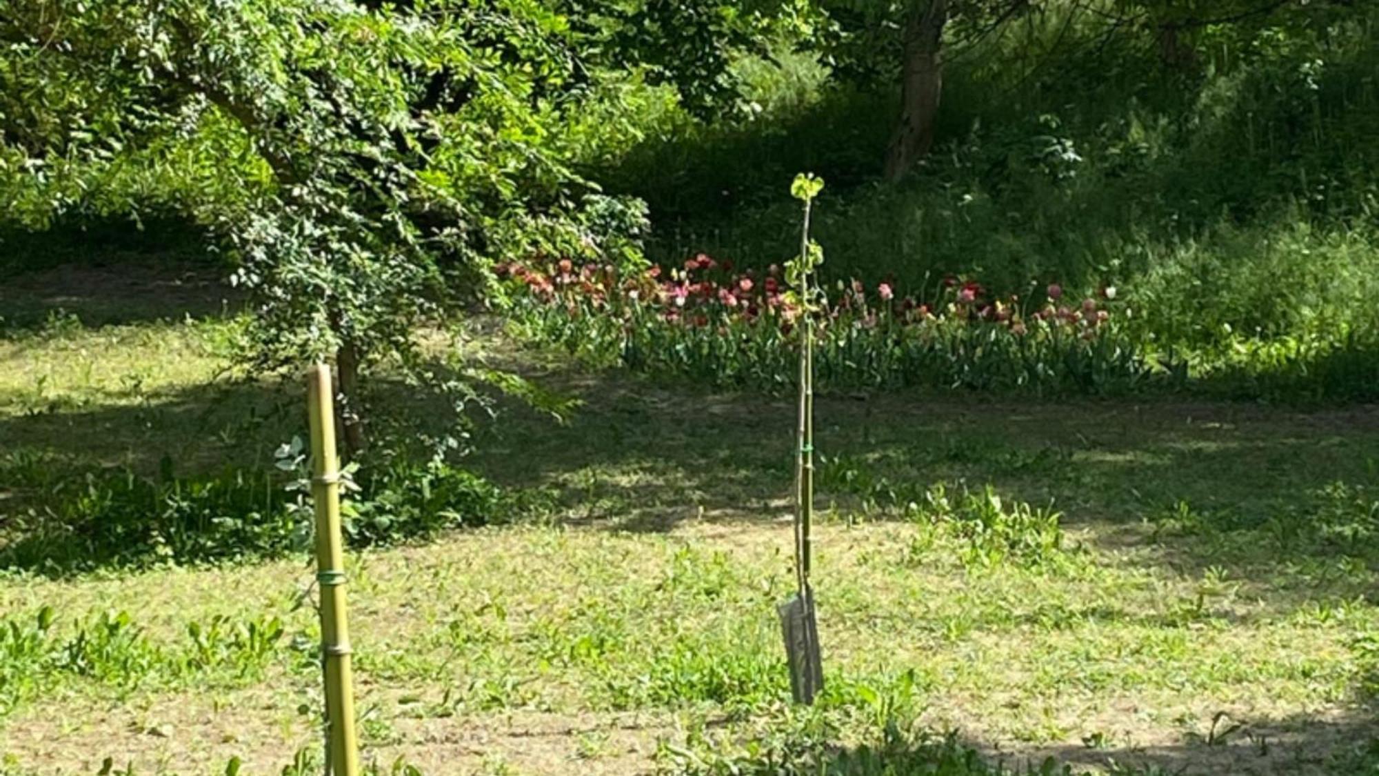 Eco House Roero Cottage アルバ エクステリア 写真